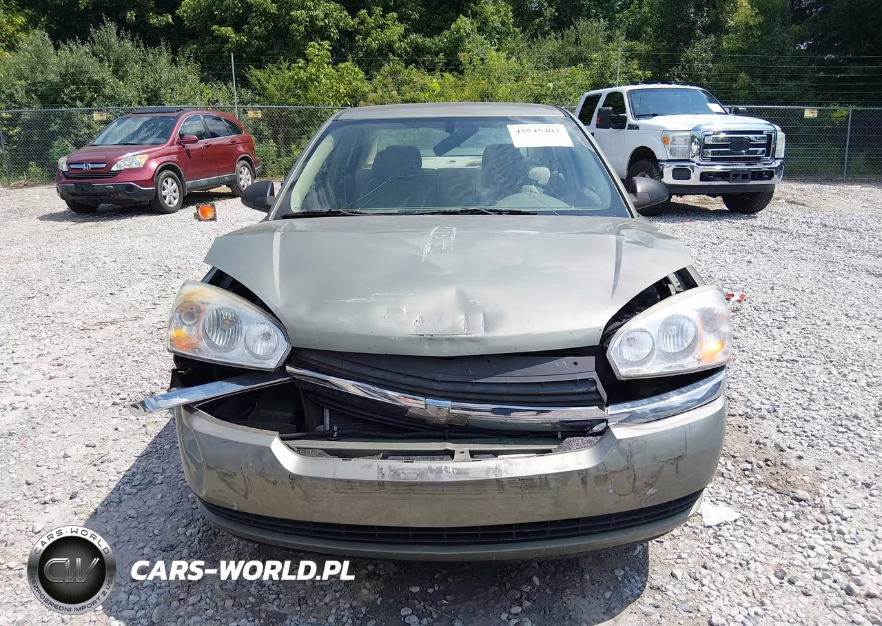 2004 Chevrolet Malibu Ls VIN:1G1ZT54854F107343 - 12