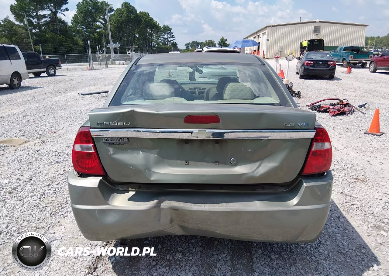 2004 Chevrolet Malibu Ls VIN:1G1ZT54854F107343 - 16