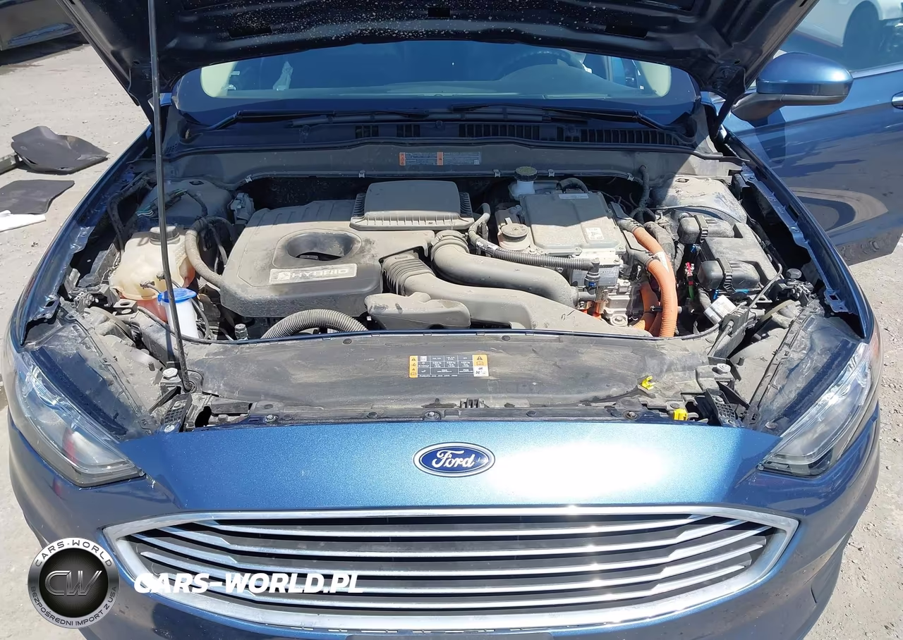 2019 Ford Fusion Hybrid Se VIN:3FA6P0LU9KR177871 - 10
