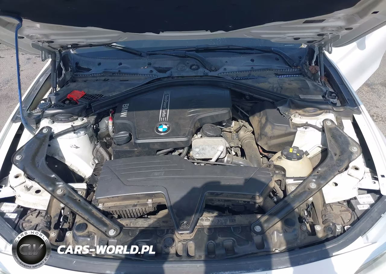 2014 BMW 428I VIN:WBA3V5C55EP747995 - 10