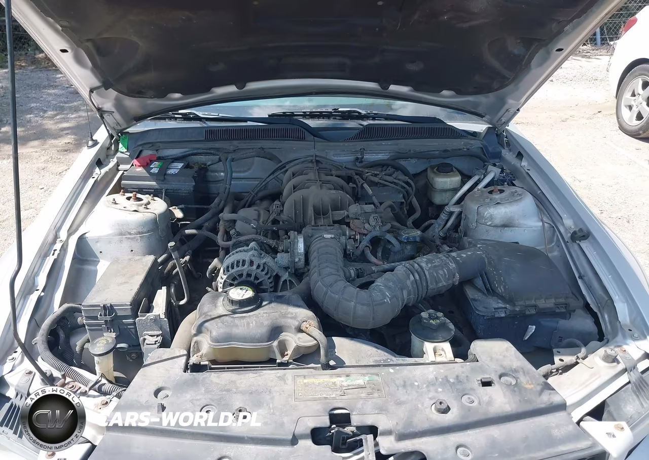 2008 Ford Mustang V6 Deluxe VIN:1ZVHT84N785149421 - 10