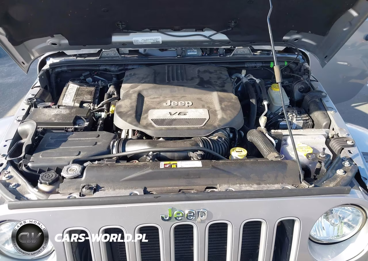 2016 Jeep Wrangler Unlimited Sahara VIN:1C4HJWEG6GL294425 - 10