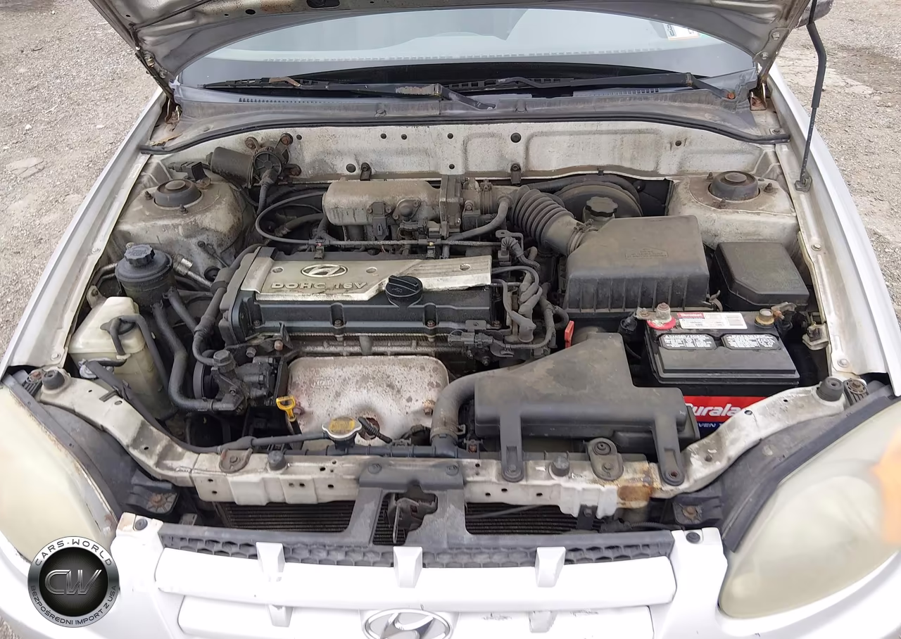 2005 Hyundai Accent Gls VIN:KMHCG45CX5U592862 - 10