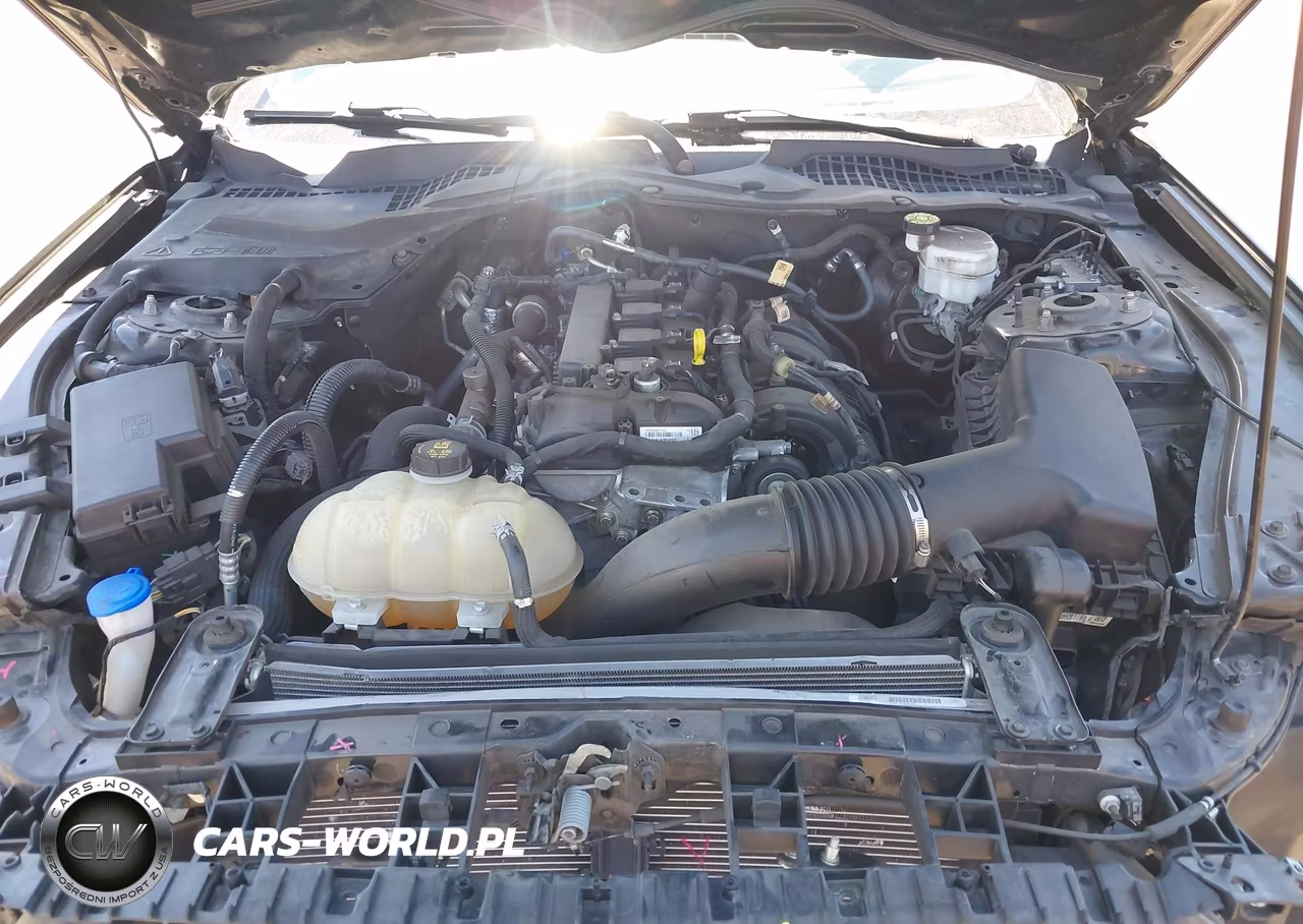 2021 Ford Mustang Ecoboost Fastback VIN:1FA6P8TH8M5146604 - 10