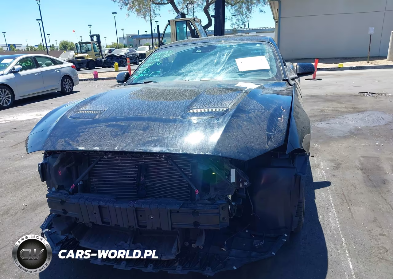 2021 Ford Mustang Ecoboost Fastback VIN:1FA6P8TH8M5146604 - 13