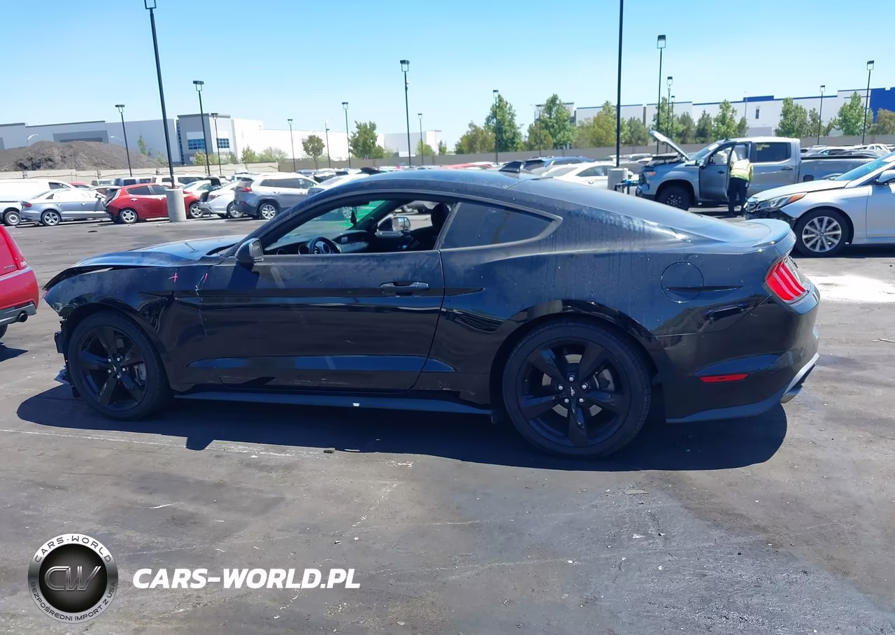 2021 Ford Mustang Ecoboost Fastback VIN:1FA6P8TH8M5146604 - 15