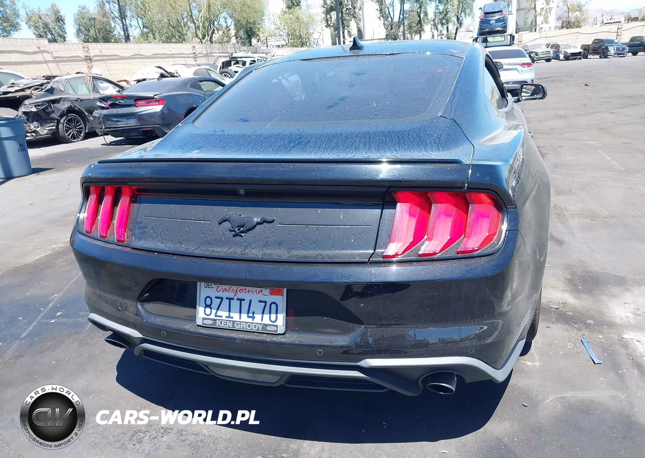 2021 Ford Mustang Ecoboost Fastback VIN:1FA6P8TH8M5146604 - 17
