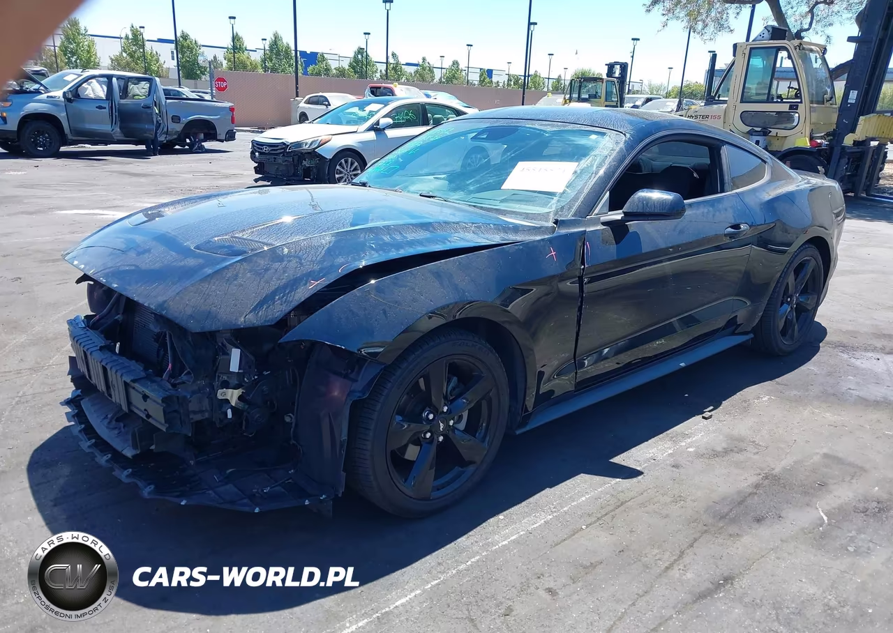 2021 Ford Mustang Ecoboost Fastback VIN:1FA6P8TH8M5146604 - 2