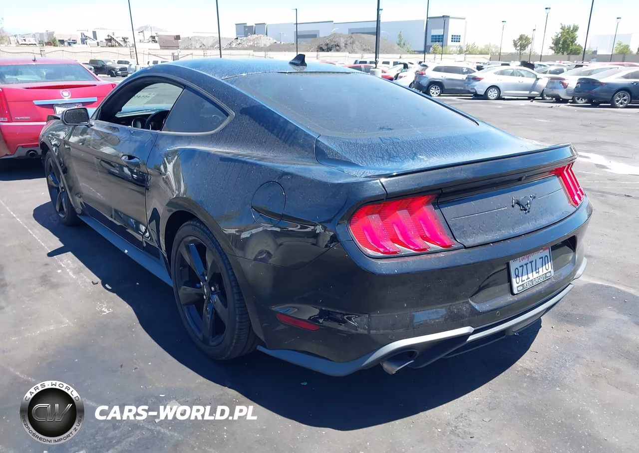 2021 Ford Mustang Ecoboost Fastback VIN:1FA6P8TH8M5146604 - 3