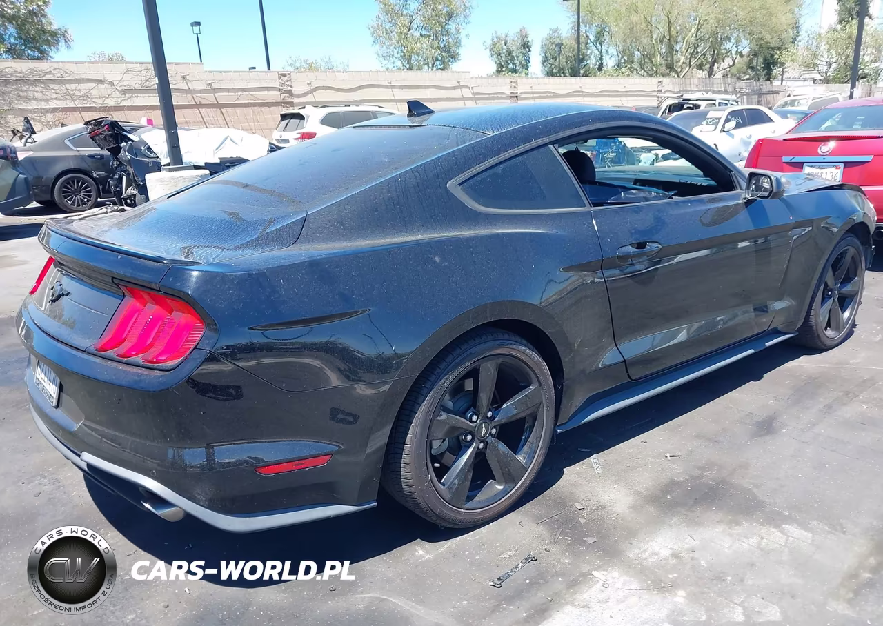 2021 Ford Mustang Ecoboost Fastback VIN:1FA6P8TH8M5146604 - 4