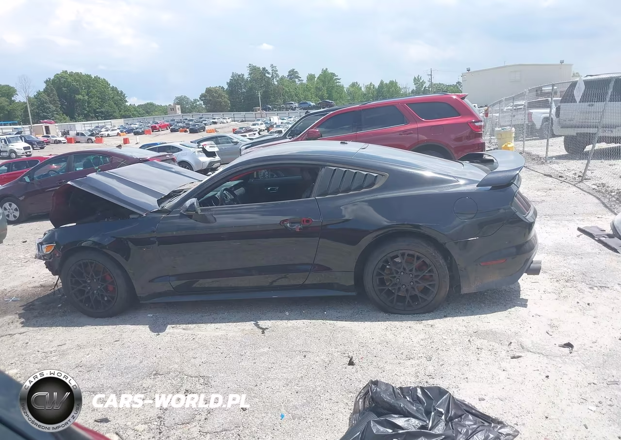 2017 Ford Mustang Gt-Gt Premium VIN:1FA6P8CF3H5279243 - 15