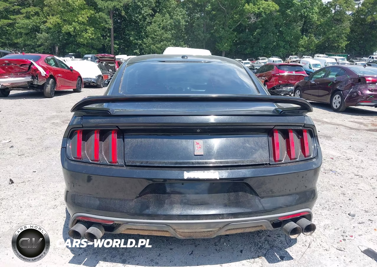 2017 Ford Mustang Gt-Gt Premium VIN:1FA6P8CF3H5279243 - 17