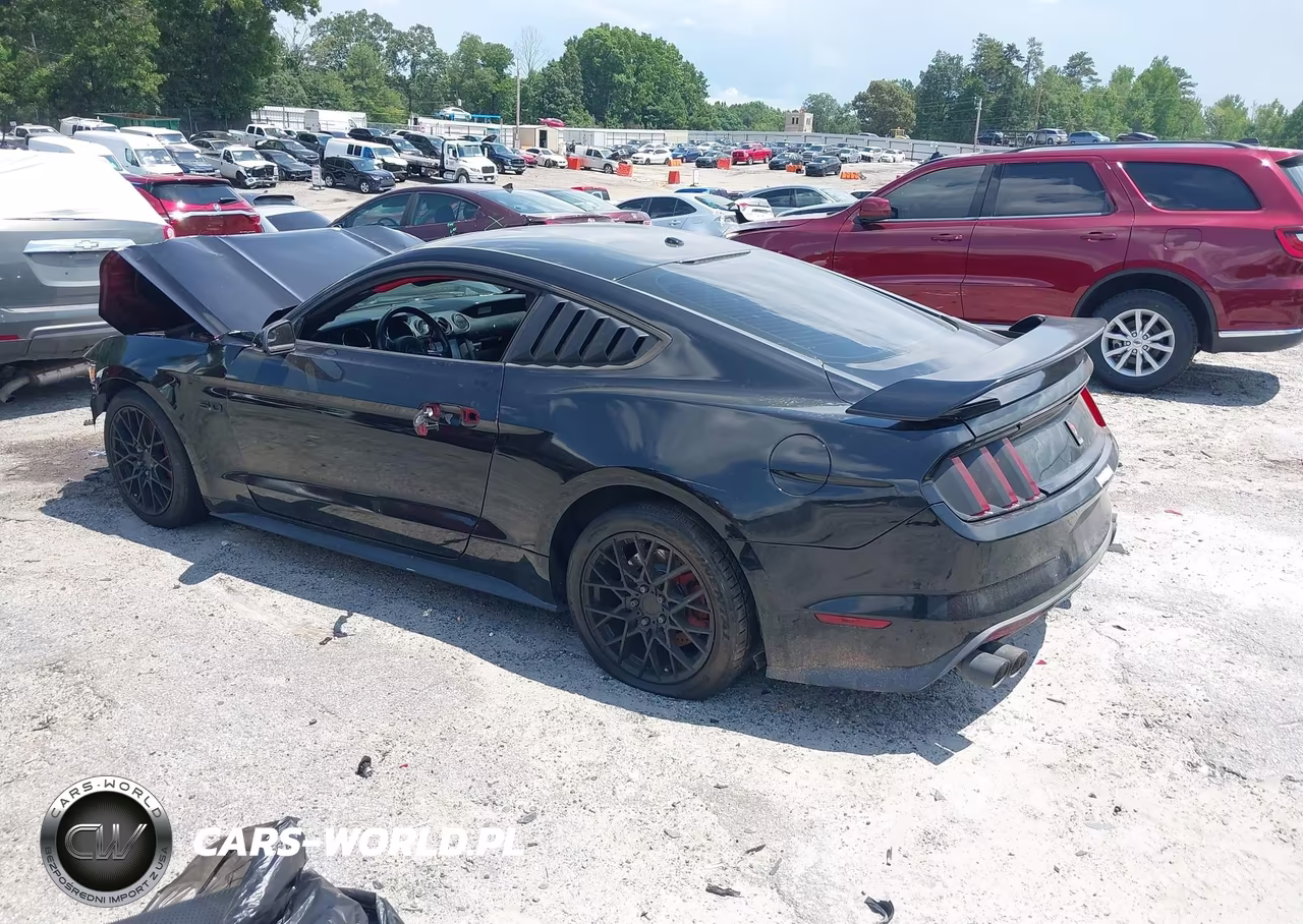 2017 Ford Mustang Gt-Gt Premium VIN:1FA6P8CF3H5279243 - 3
