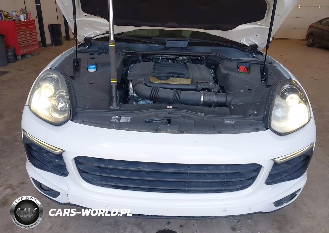 2016 Porsche Cayenne VIN:WP1AA2A28GKA12052 - 10