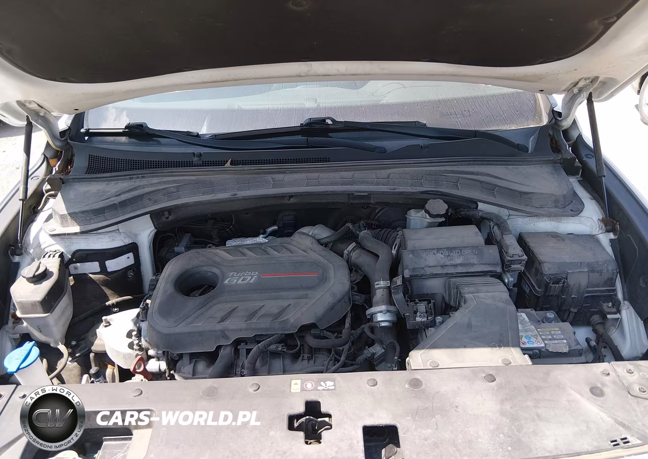 2019 Hyundai Santa Fe Limited 2.0T VIN:5NMS5CAA4KH018801 - 10