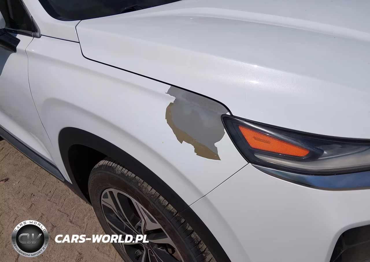 2019 Hyundai Santa Fe Limited 2.0T VIN:5NMS5CAA4KH018801 - 17