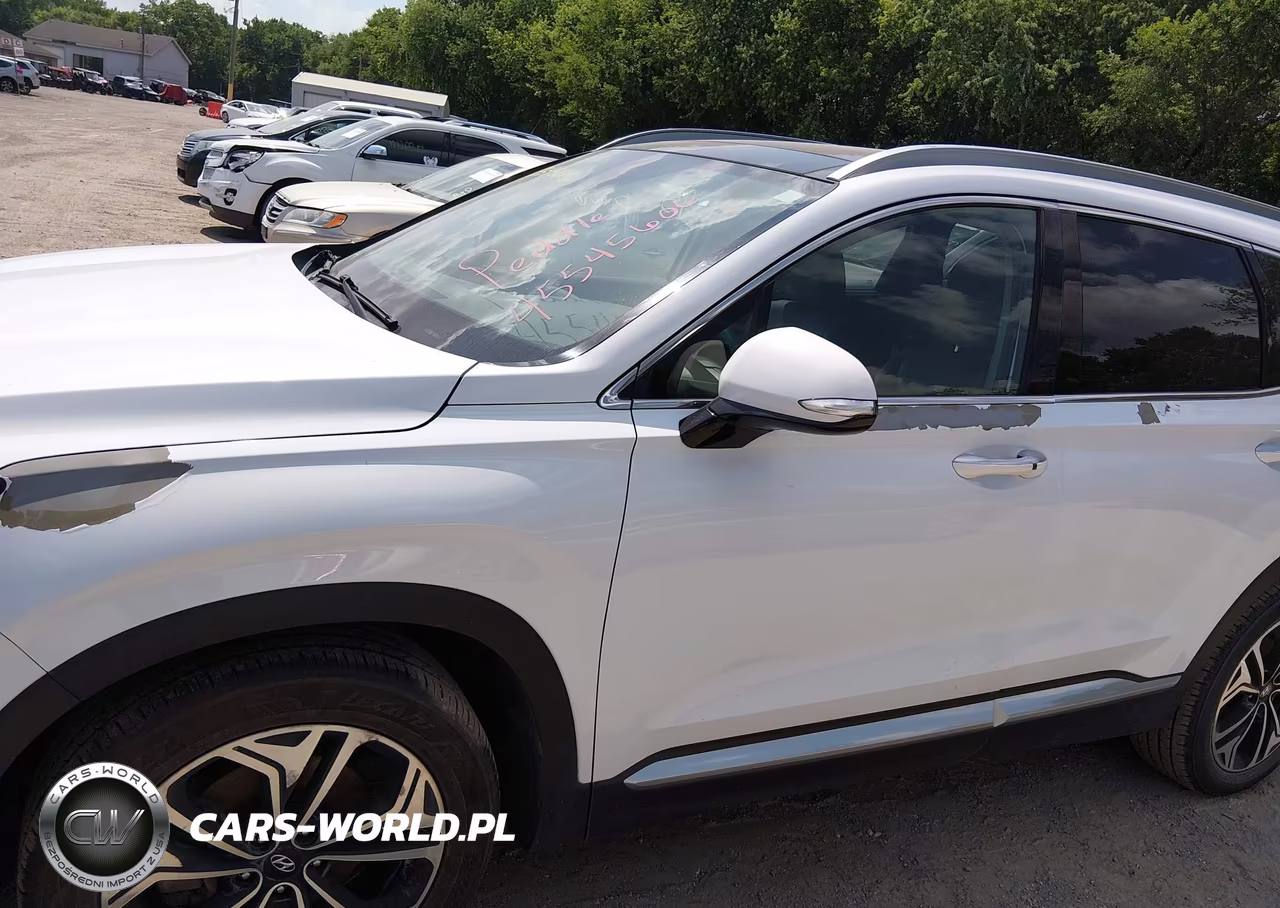 2019 Hyundai Santa Fe Limited 2.0T VIN:5NMS5CAA4KH018801 - 6