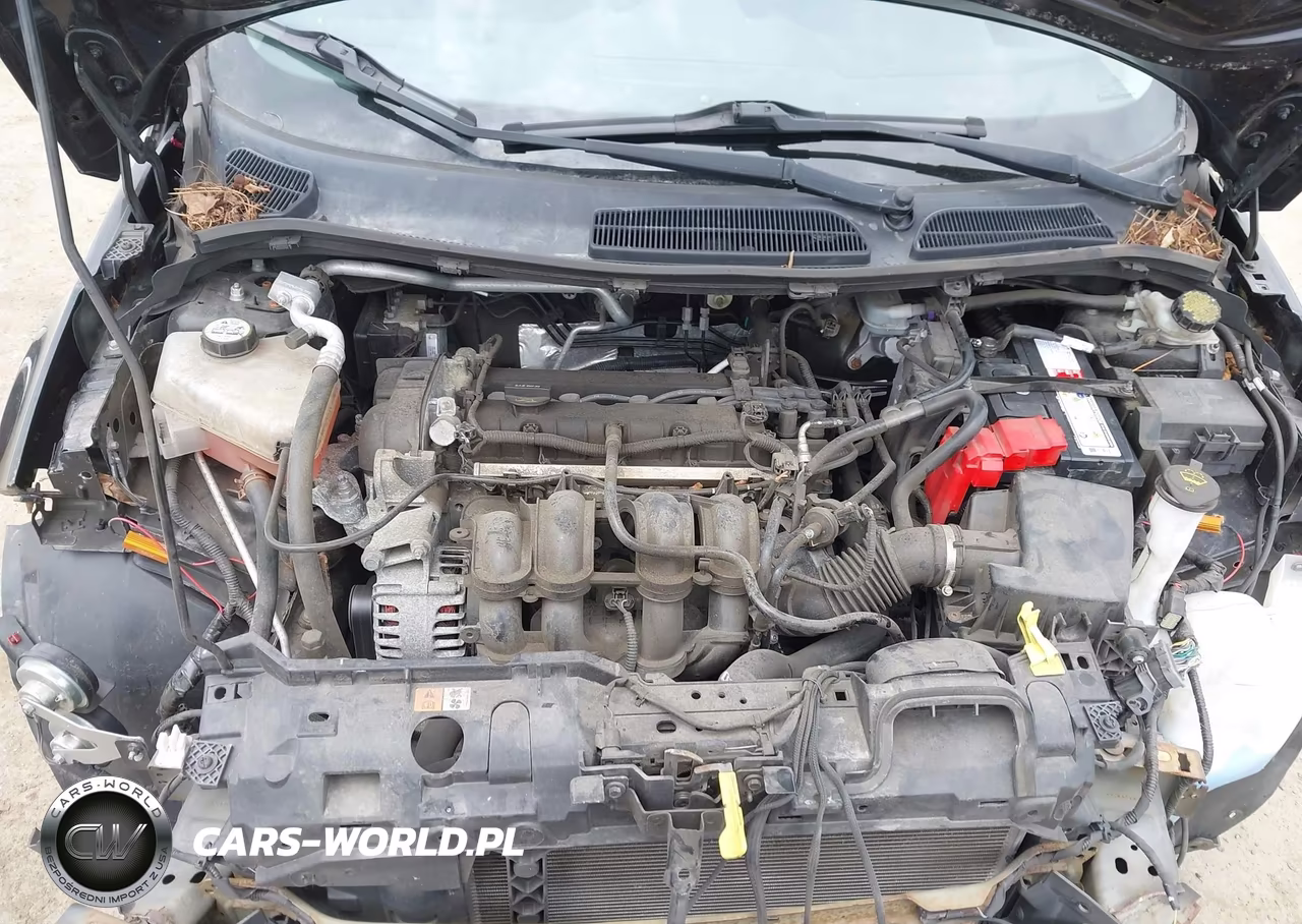 2016 Ford Fiesta Se VIN:3FADP4EJXGM201701 - 10