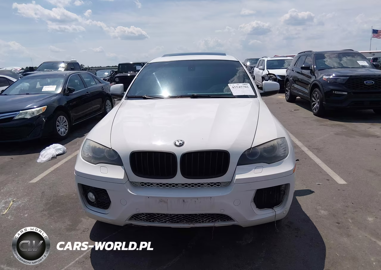 2011 BMW X6 xDrive50I VIN:5UXFG8C57BLZ96022 - 11
