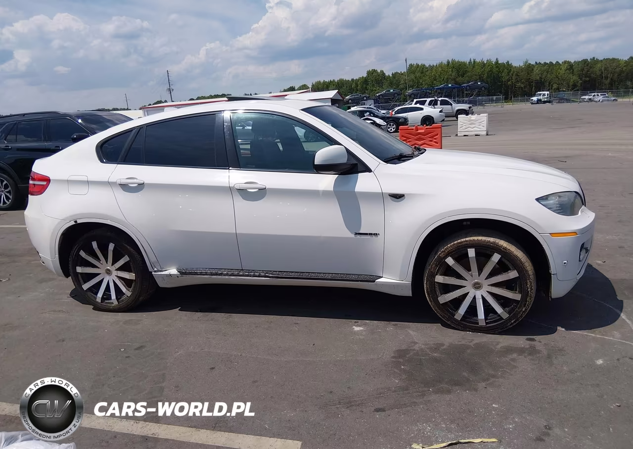 2011 BMW X6 xDrive50I VIN:5UXFG8C57BLZ96022 - 12