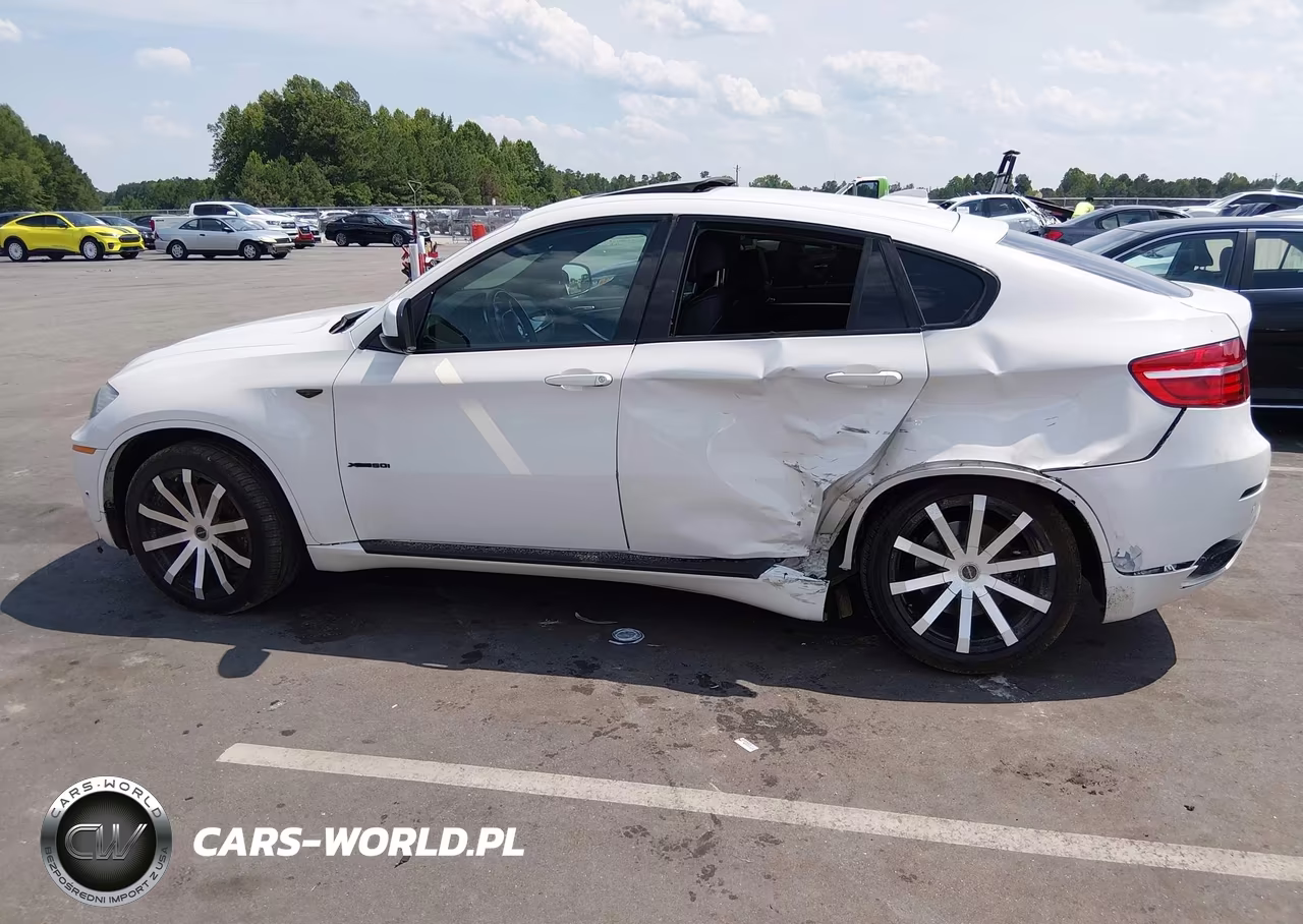2011 BMW X6 xDrive50I VIN:5UXFG8C57BLZ96022 - 13