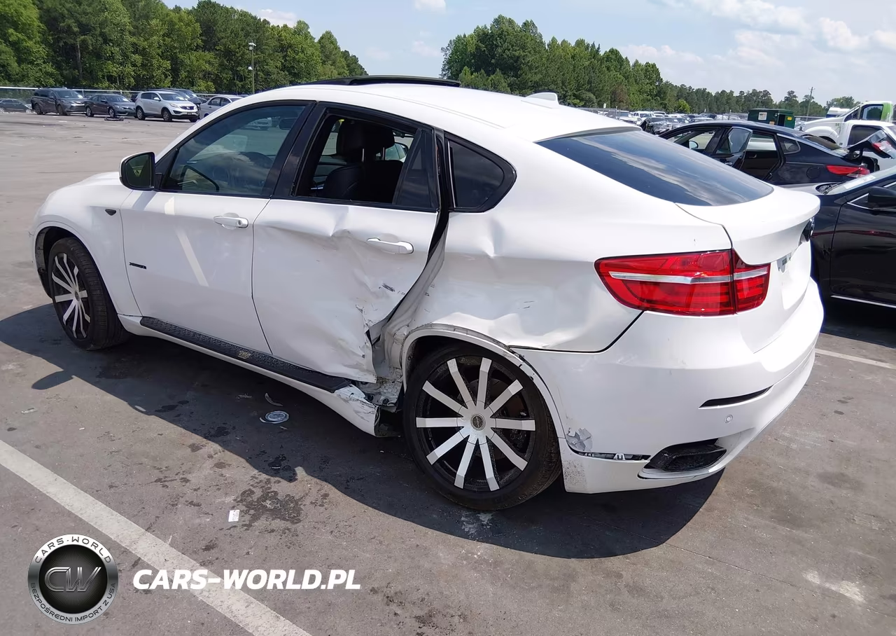 2011 BMW X6 xDrive50I VIN:5UXFG8C57BLZ96022 - 3