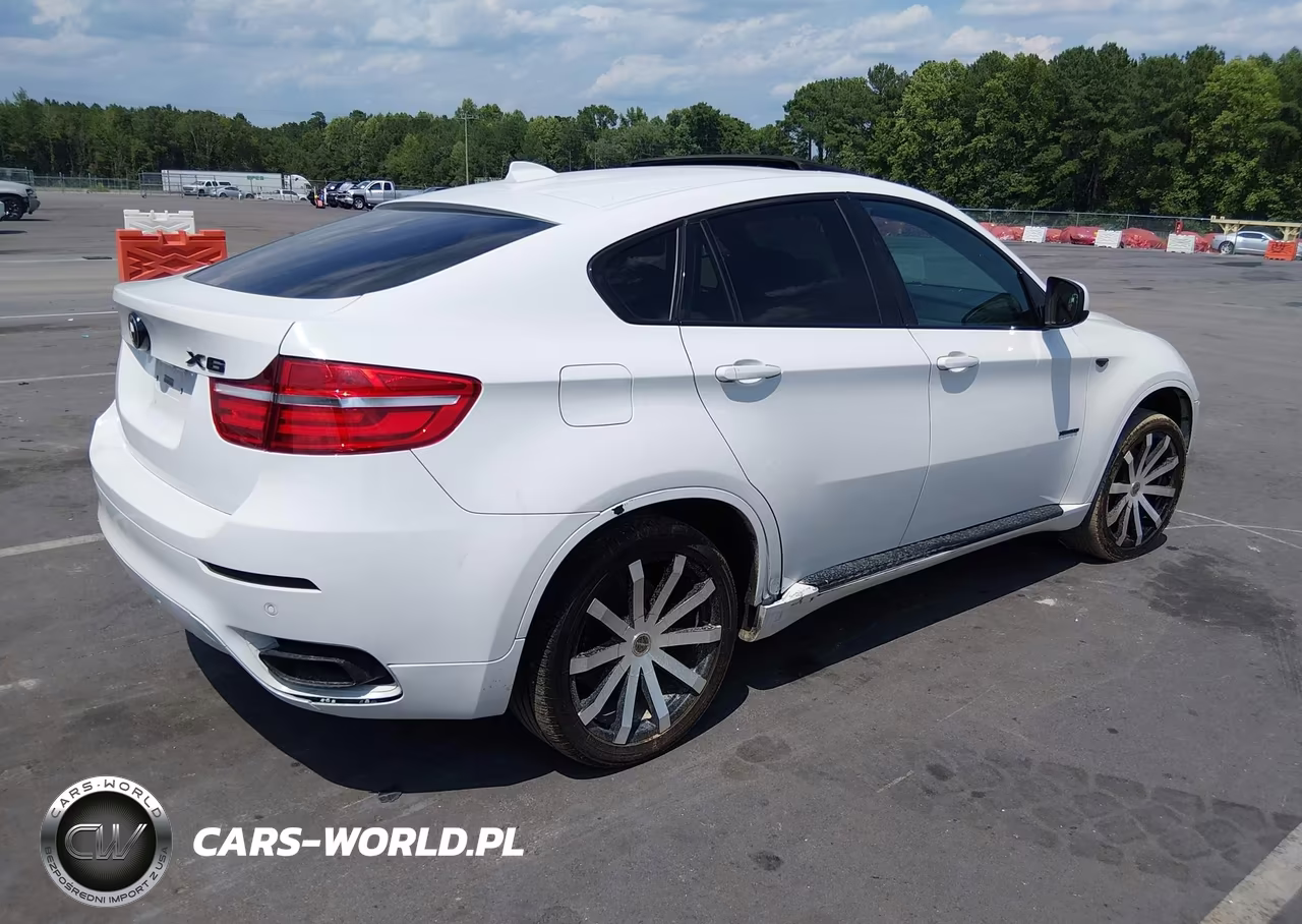 2011 BMW X6 xDrive50I VIN:5UXFG8C57BLZ96022 - 4