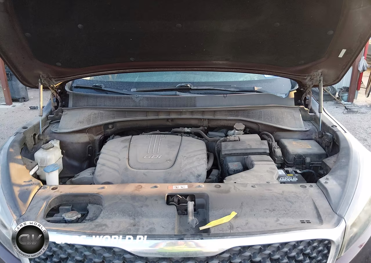 2016 Kia Sorento 3.3L Lx VIN:5XYPG4A51GG122589 - 10