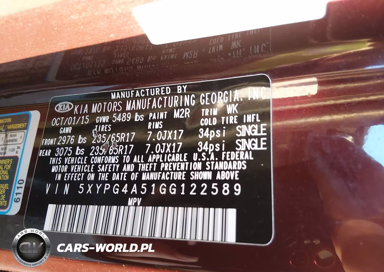 2016 Kia Sorento 3.3L Lx VIN:5XYPG4A51GG122589 - 9