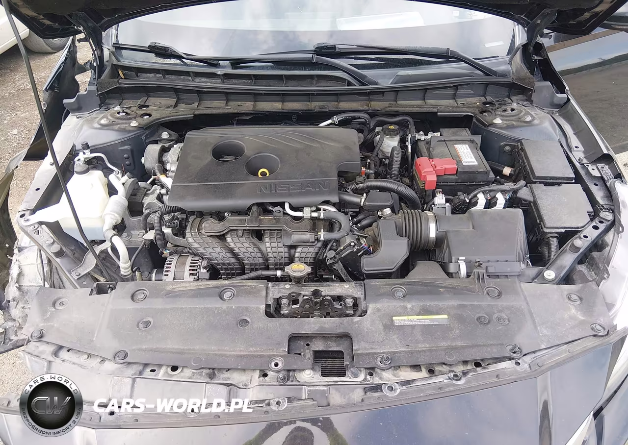 2019 Nissan Altima 2.5 Platinum VIN:1N4BL4FW5KC206263 - 10