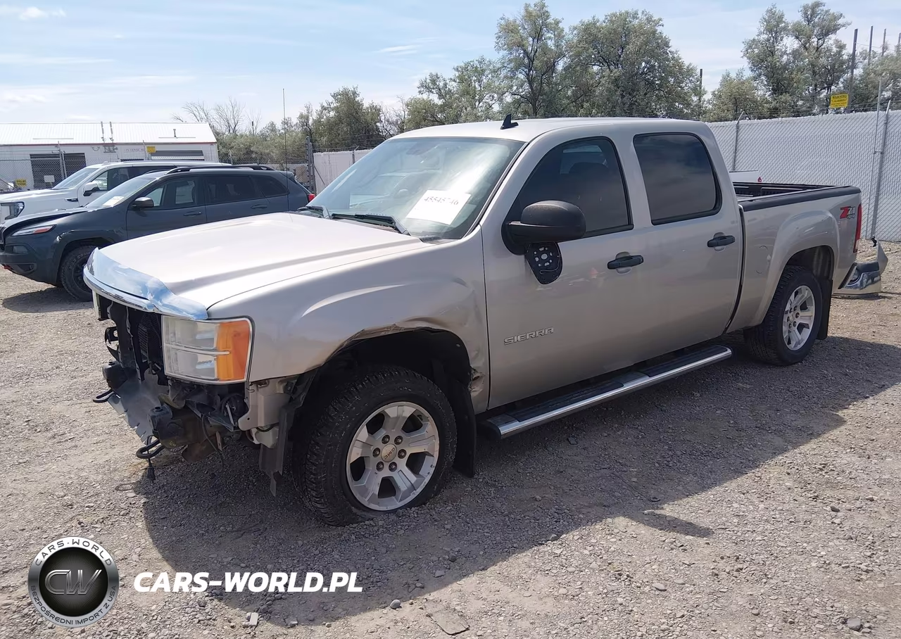 2009 GMC Sierra 1500 Work Truck VIN:3GTEK13M69G191047 - 2