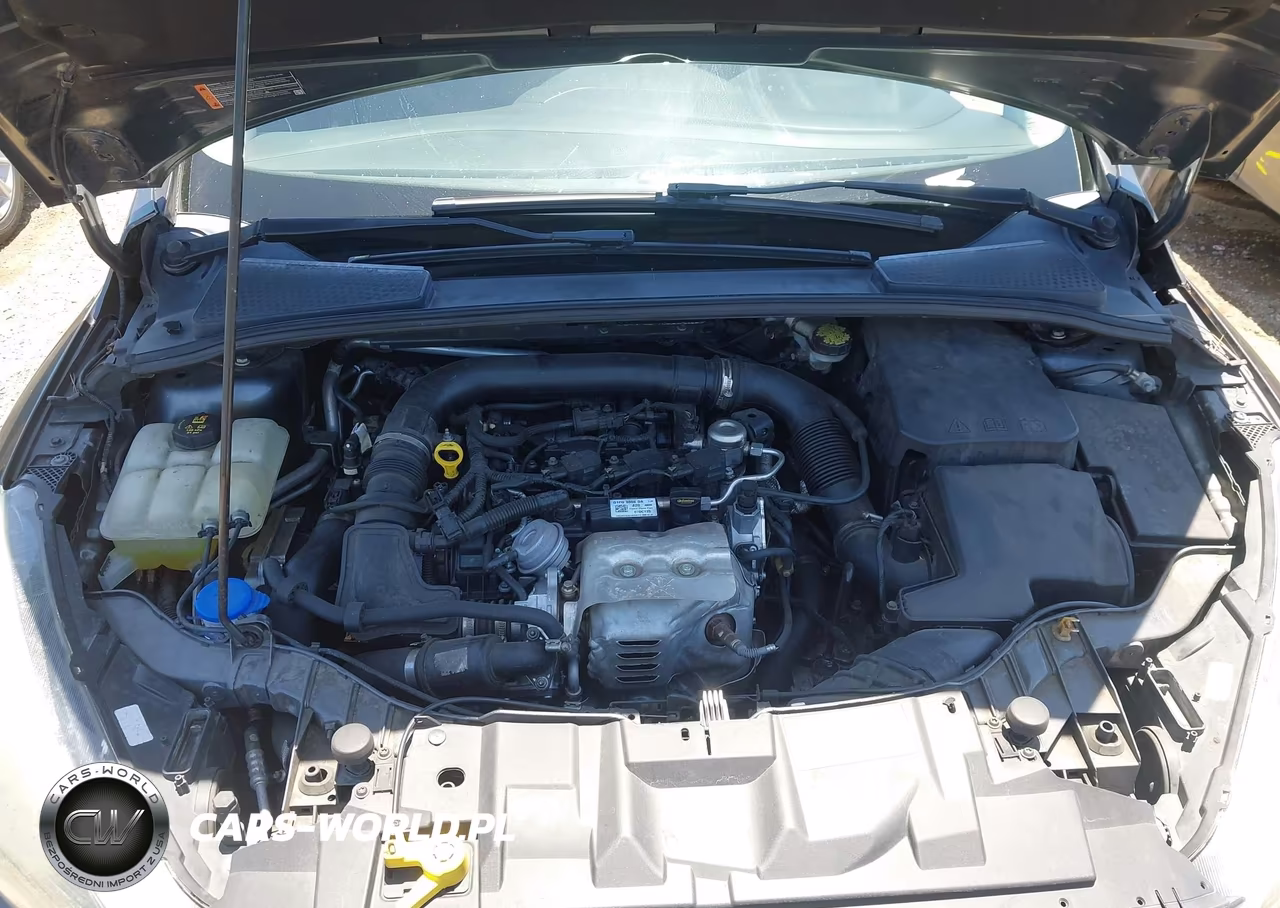 2016 Ford Focus Se VIN:1FADP3KE2GL380075 - 10