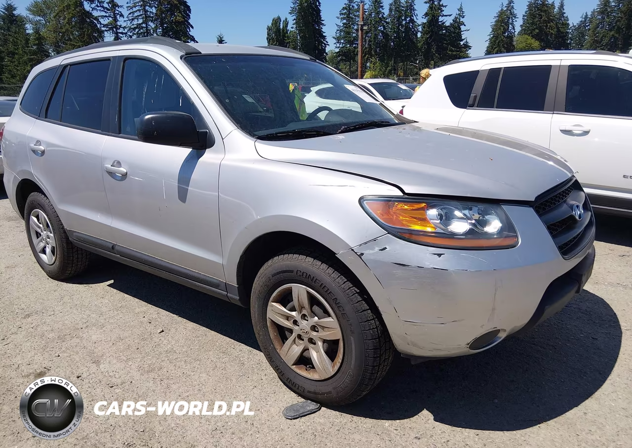 2009 Hyundai Santa Fe Gls
