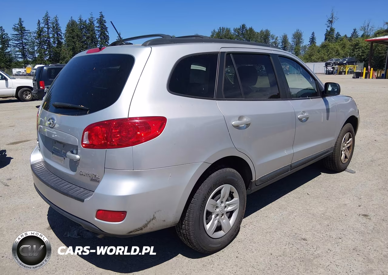 2009 Hyundai Santa Fe Gls VIN:5NMSG73D69H259973 - 4