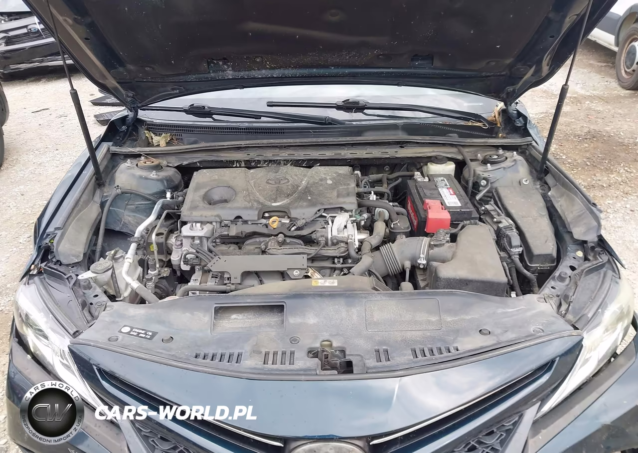 2018 Toyota Camry Se VIN:4T1B11HK3JU556861 - 10