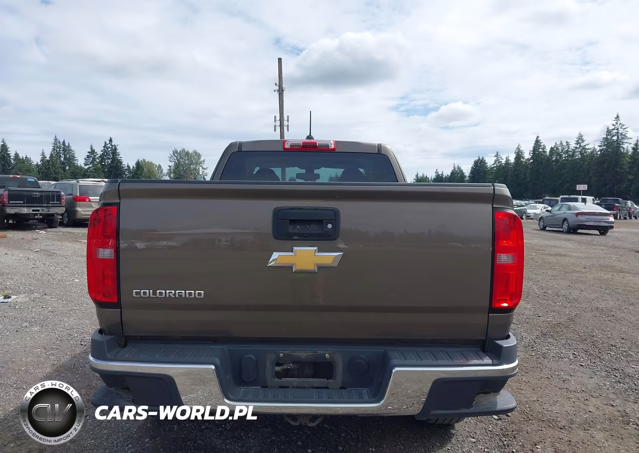 2016 Chevrolet Colorado 4Wd Wt VIN:1GCHTBEA0G1342186 - 17