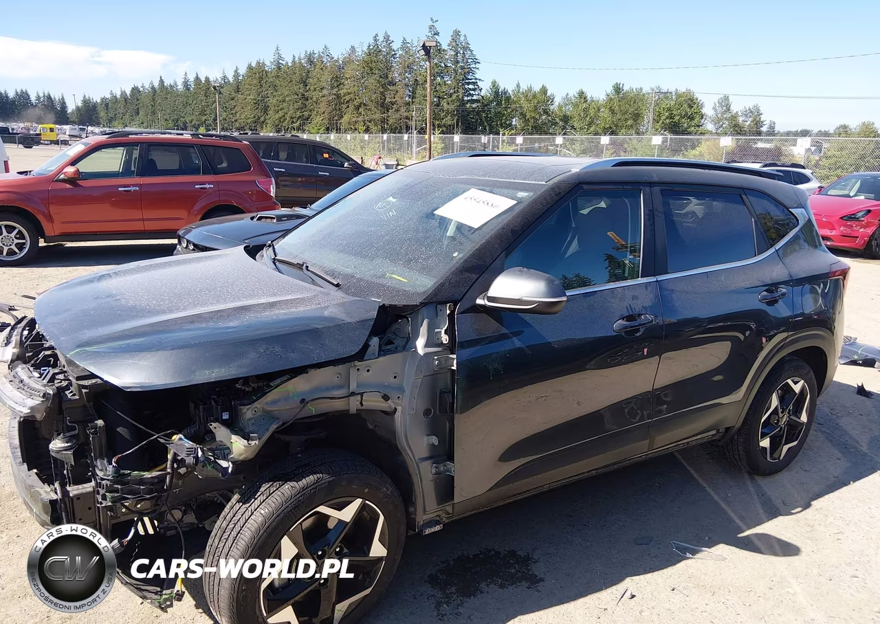2024 Kia Seltos Ex VIN:KNDERCAA1R7539879 - 15