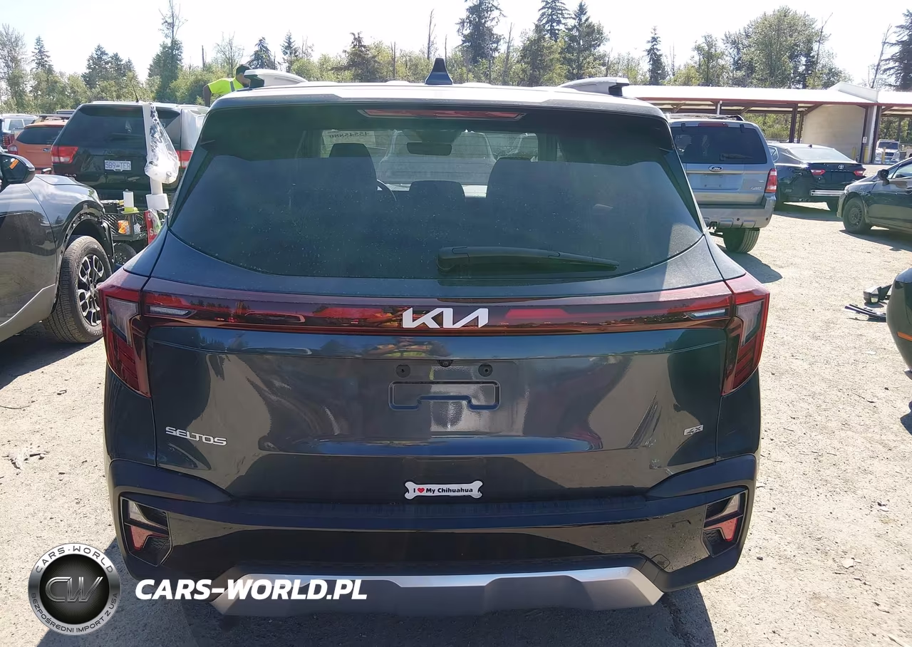 2024 Kia Seltos Ex VIN:KNDERCAA1R7539879 - 17