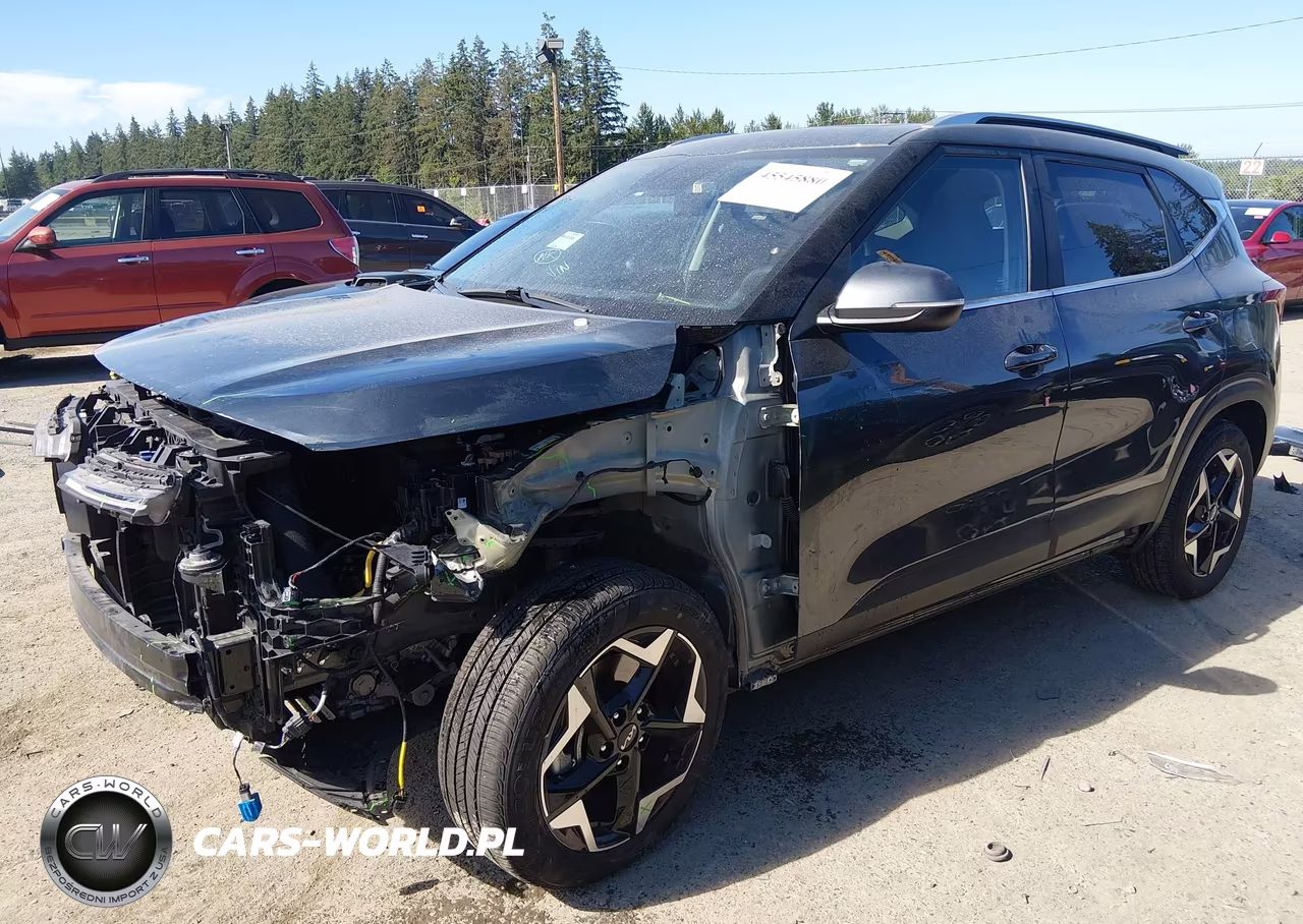 2024 Kia Seltos Ex VIN:KNDERCAA1R7539879 - 2