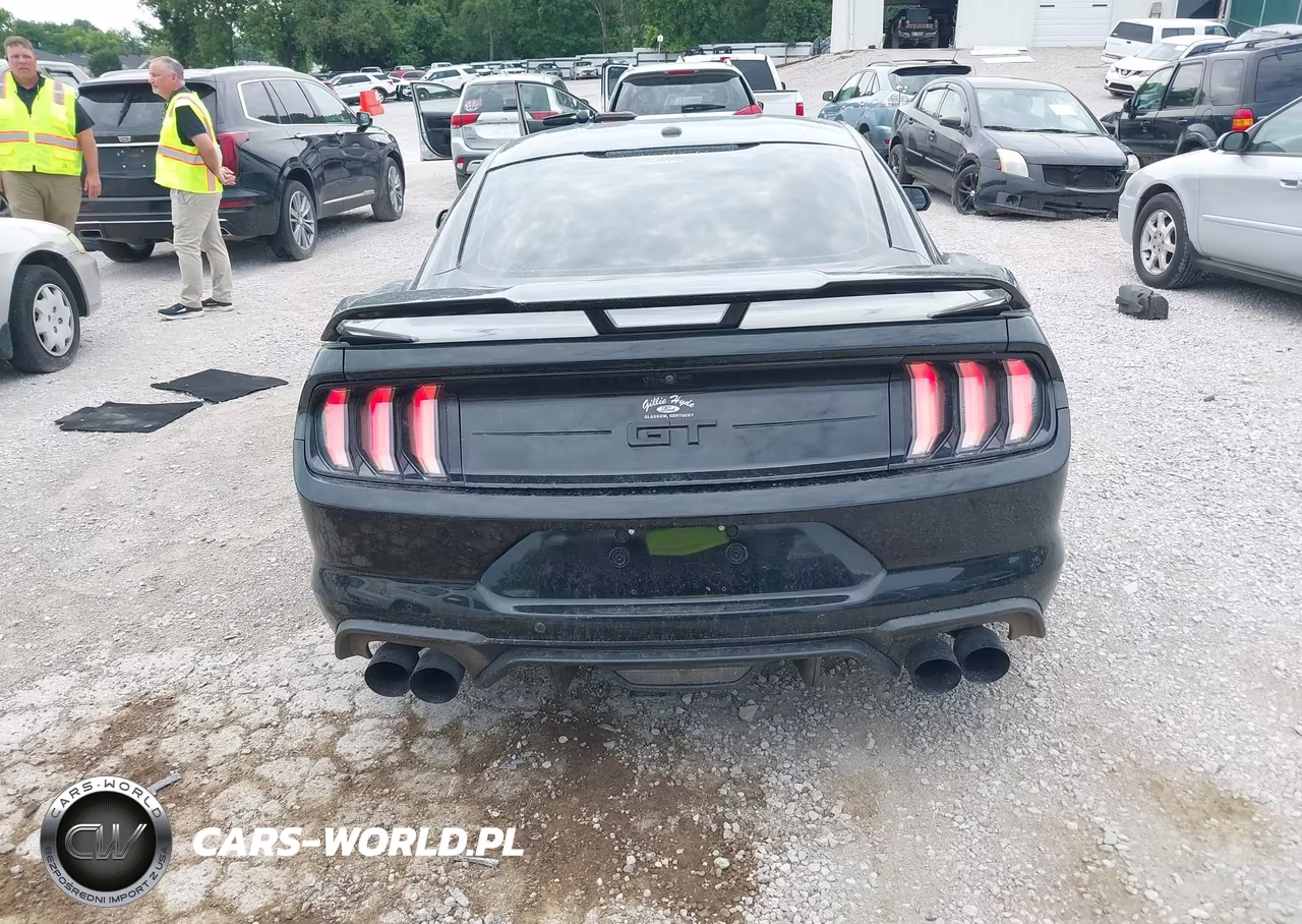 2020 Ford Mustang Gt Fastback-Gt Premium Fastback VIN:1FA6P8CF7L5126888 - 16