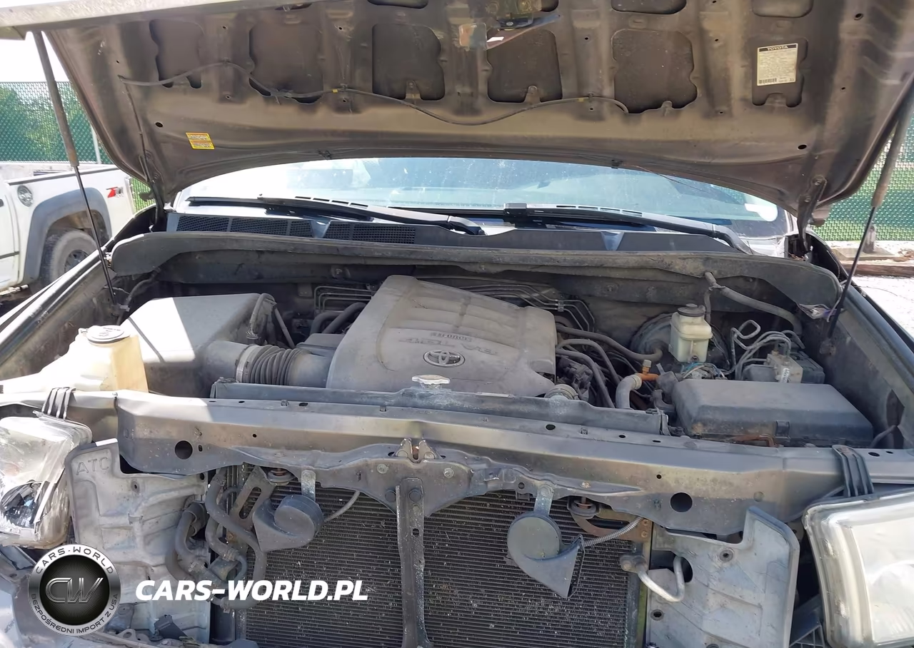 2010 Toyota Tundra Grade 4.6L V8 VIN:5TFUM5F18AX009718 - 10