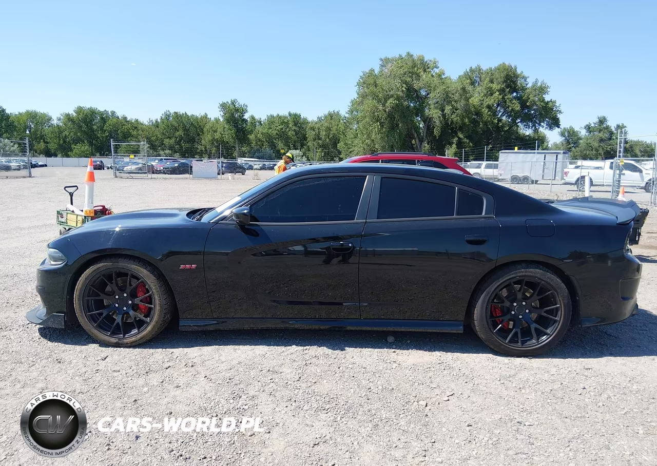 2016 Dodge Charger R-T Scat Pack VIN:2C3CDXGJXGH276575 - 15