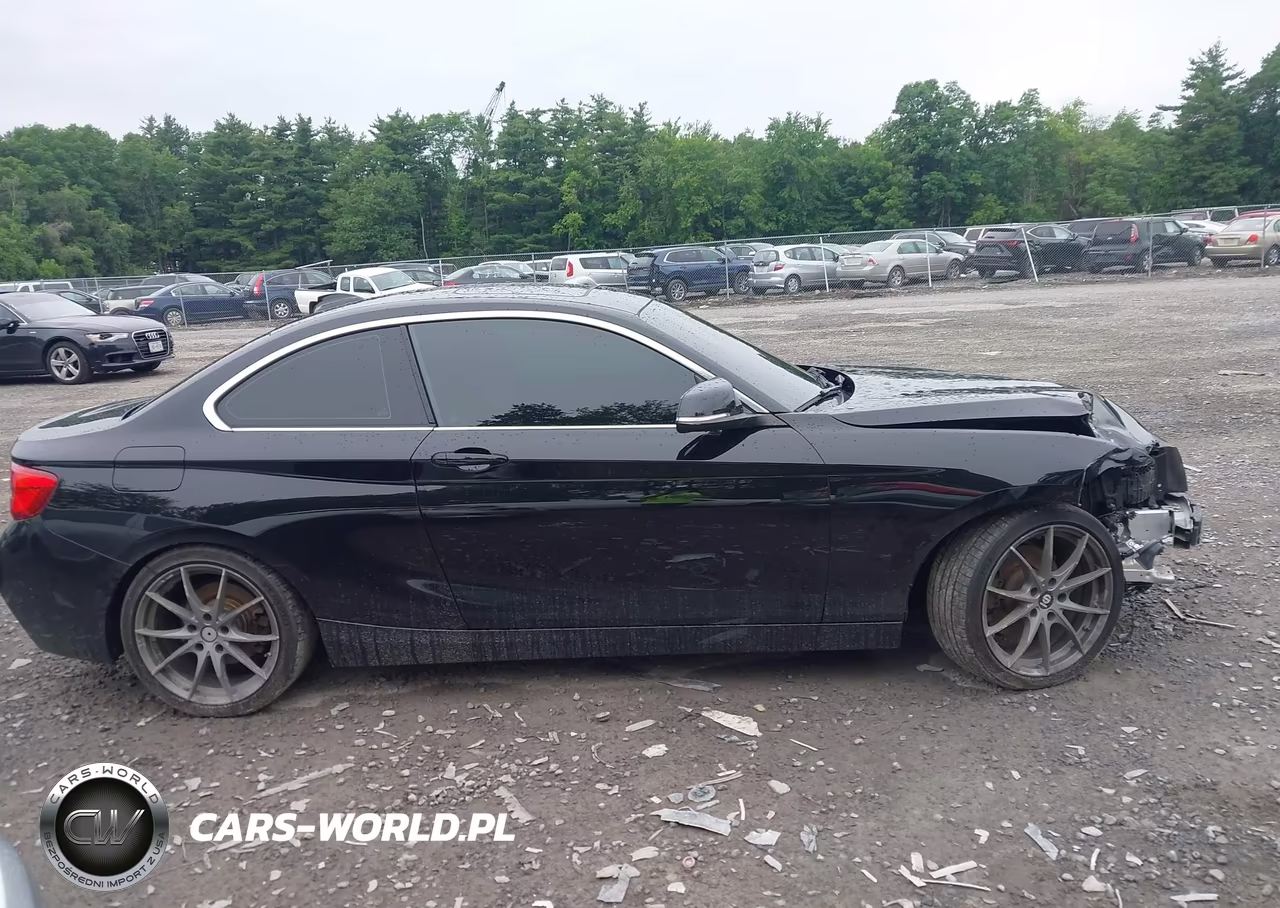 2018 BMW 230I xDrive VIN:WBA2J3C54JVD48242 - 13