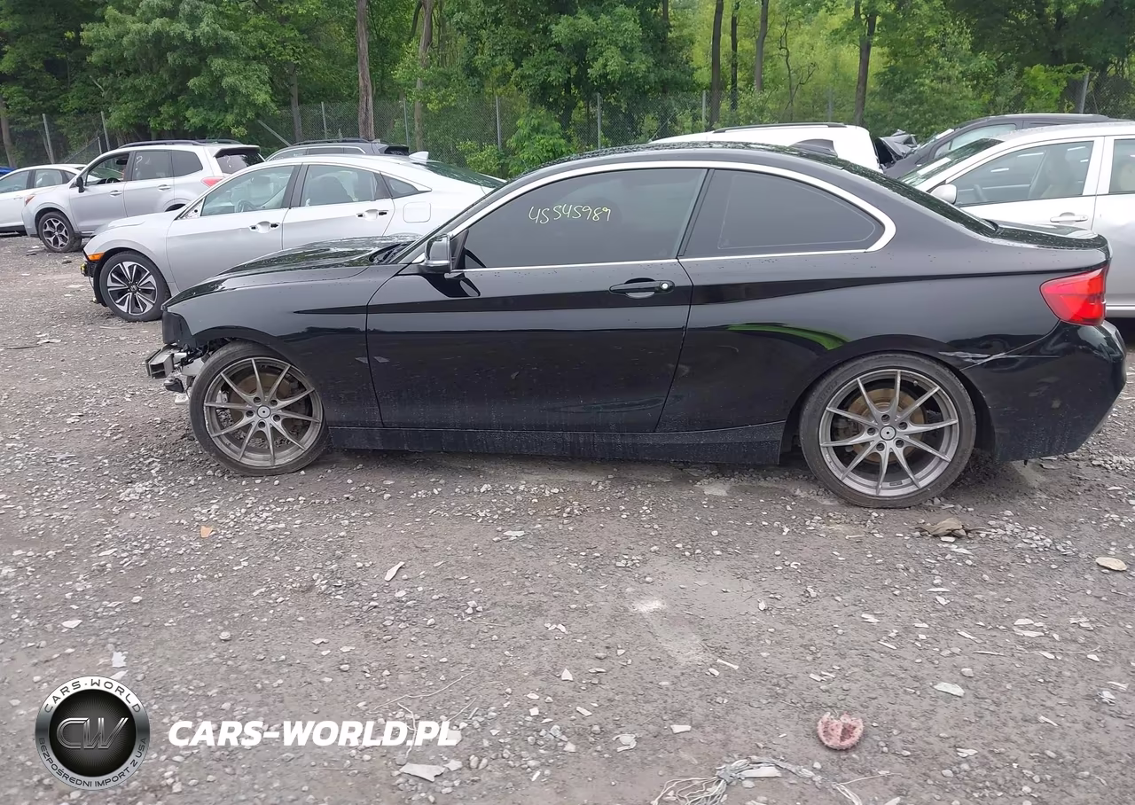 2018 BMW 230I xDrive VIN:WBA2J3C54JVD48242 - 14
