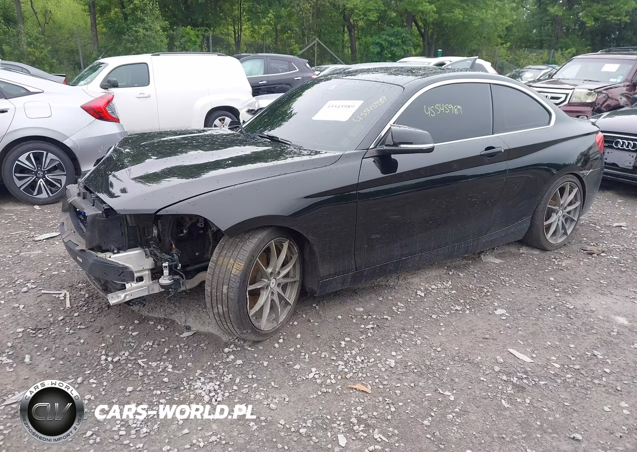 2018 BMW 230I xDrive VIN:WBA2J3C54JVD48242 - 2
