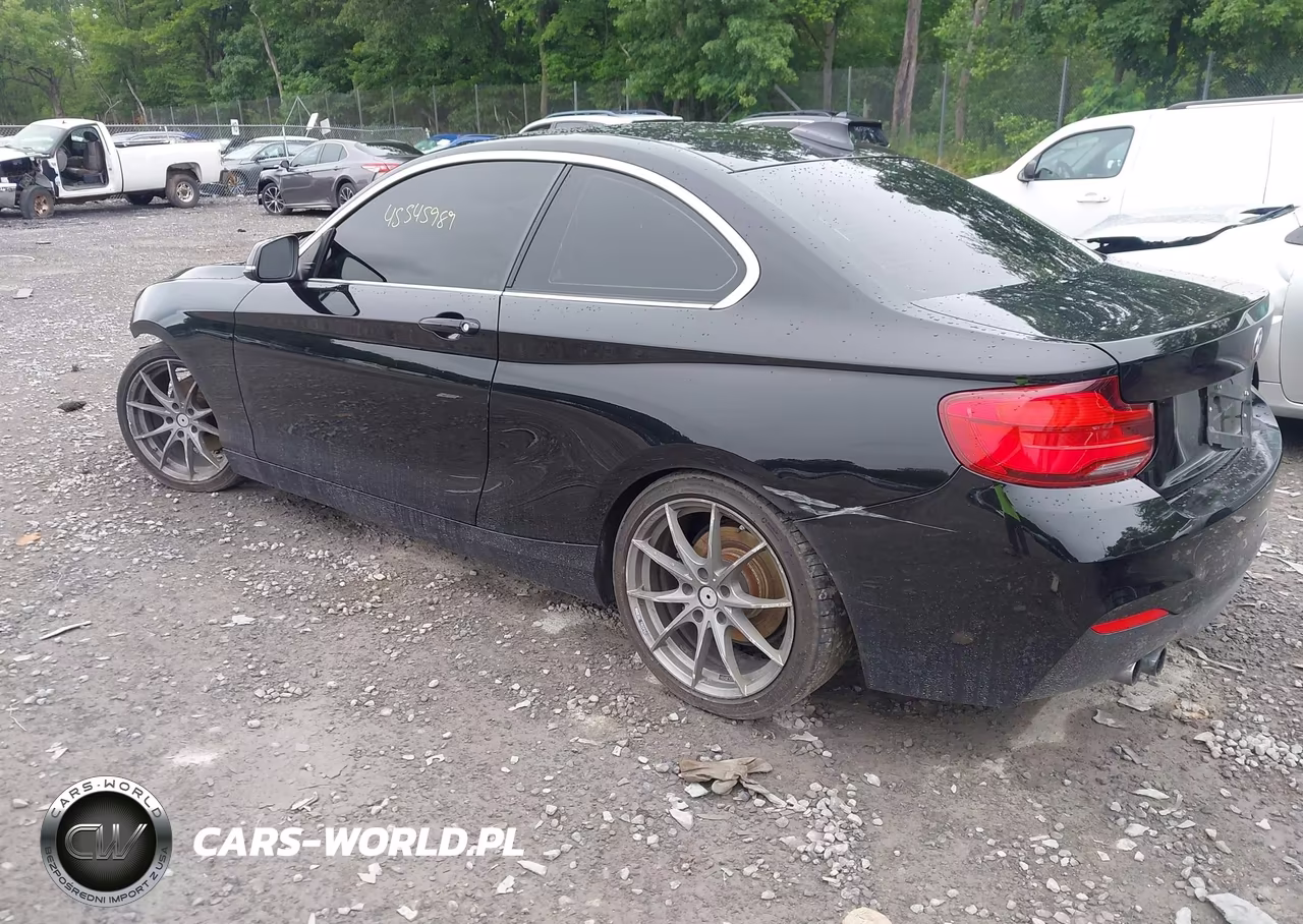 2018 BMW 230I xDrive VIN:WBA2J3C54JVD48242 - 3