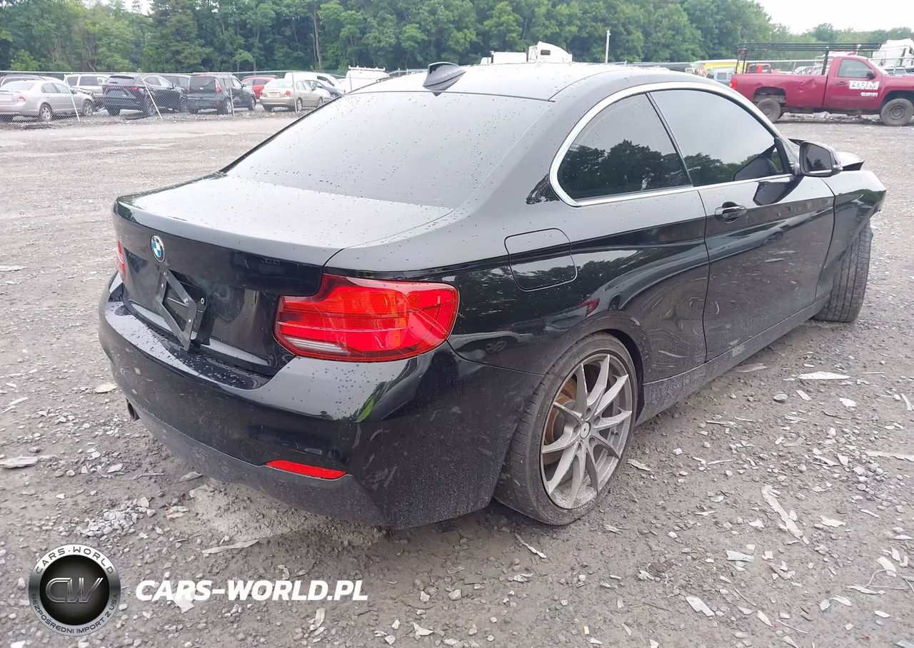 2018 BMW 230I xDrive VIN:WBA2J3C54JVD48242 - 4