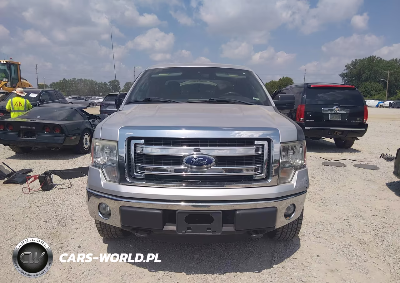 2014 Ford F-150 Xlt VIN:1FTFW1EF3EFA17732 - 12