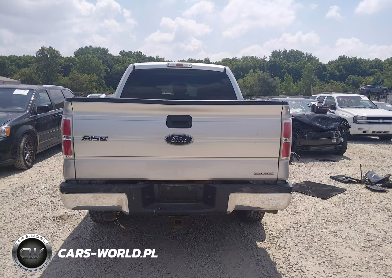 2014 Ford F-150 Xlt VIN:1FTFW1EF3EFA17732 - 16