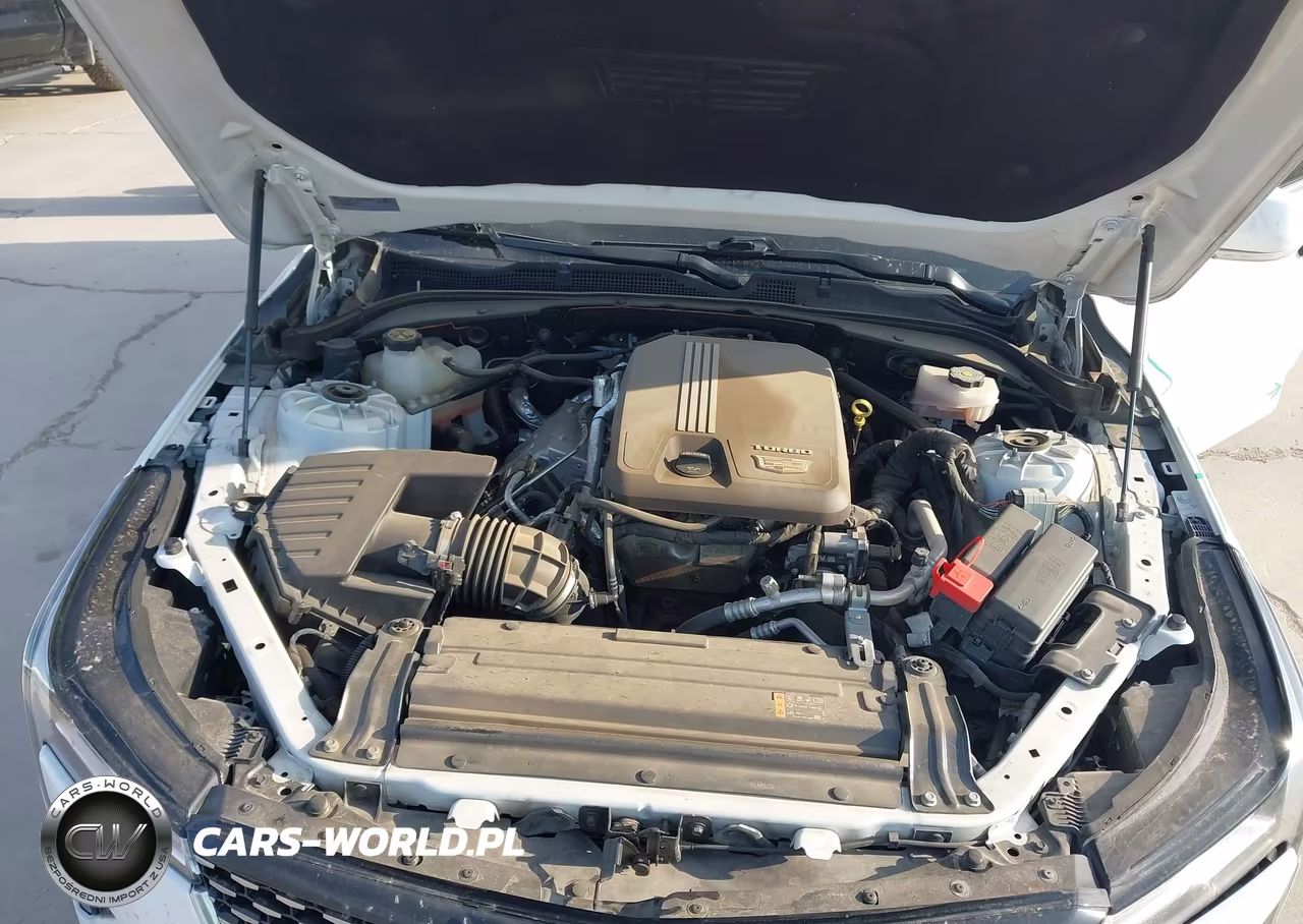 2023 Cadillac Ct4 Luxury VIN:1G6DJ5RK1P0113551 - 10
